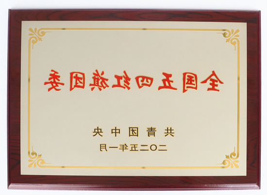 全国五四红旗团委2.jpg